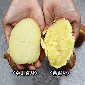 포슬포슬 산지직송 햇감자 괴산 홍감자 대왕 3kg