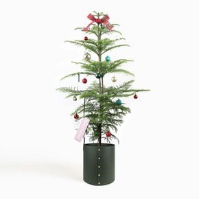 [무케] 플랫츠_팟커버 L + 아라우카리아 XL (크리스마스 에디션)  공기정화 식물 인테리어 화분