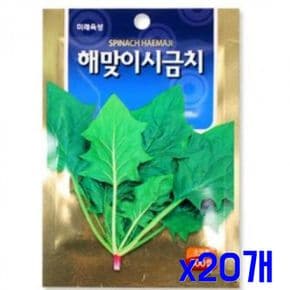 베란다텃밭 모종 텃밭 가꾸기 시금치 씨앗 500립 x20개 씨앗심기