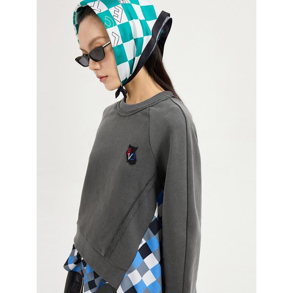 Checkered Print Color Sweatshirt (dark grey)_LFTAS25110GYD