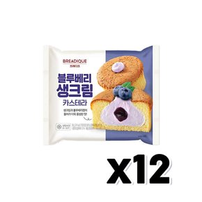 브레디크 블루베리 생크림카스테라 베이커리빵 90g x 12개