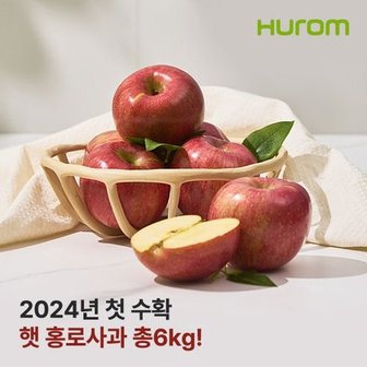 휴롬 24년 햇 홍로 사과 3kg + 3kg