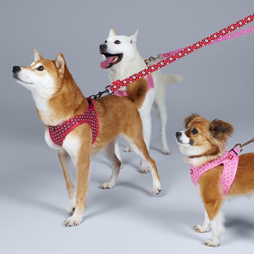 상품이미지8