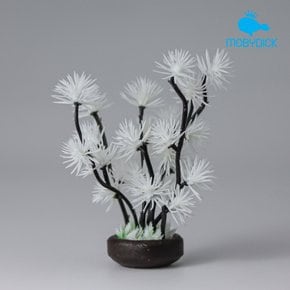 화이트산호 RH-1001