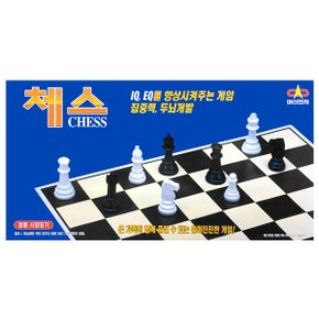 체스 CHESS