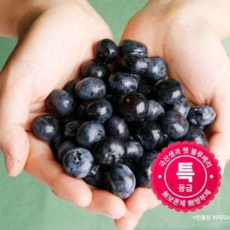  국내산 무농약 생 블루베리 100g x 10팩(1kg, 14-17mm)
