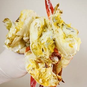 제철 활 숫꽃게 1kg