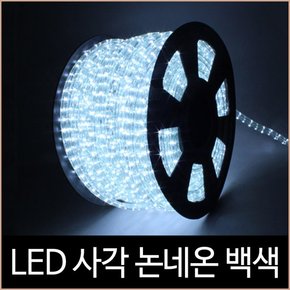 퍼스트 LED 사각 논네온 백색 50미터 2핀 간접조명