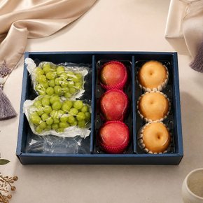 [9/15 순차출고] [농협] 프리미엄 사과/배/샤인 3종혼합세트 4.5kg(사과3입,배3입,샤인2입)