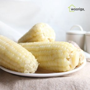 탱글탱글 백찰 냉동 삶은 찰옥수수 12개 18~20cm 내외