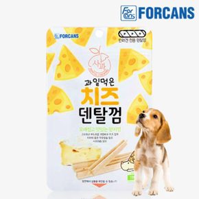 과일먹은 치즈덴탈껌 강아지껌 100g 사과
