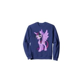 My Little Pony Friendship Is Magic Big Twilight Portrait 트레이너