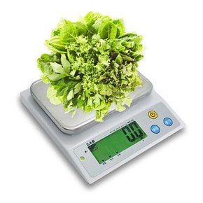 카스 디지털 주방저울 WZ-3A (0~1kg/0.1g단위)