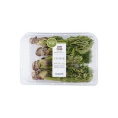  순천 참두릅 (220g)
