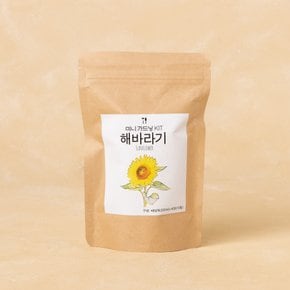 미니가드닝KIT_해바라기