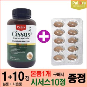 뉴질랜드 파이오라 시서스 가루 225g 인도산 시저스 추출 분말 Cissus