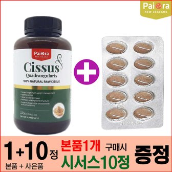  뉴질랜드 파이오라 시서스 가루 225g 인도산 시저스 추출 분말 Cissus