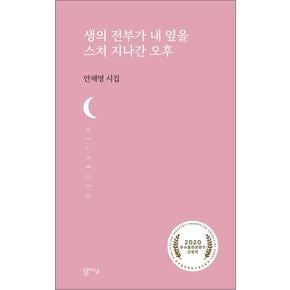 생의 전부가 내 옆을 스쳐 지나간 오후 (달아실시선 33)