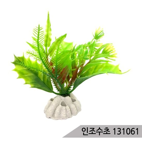 확대된 대표 대표이미지