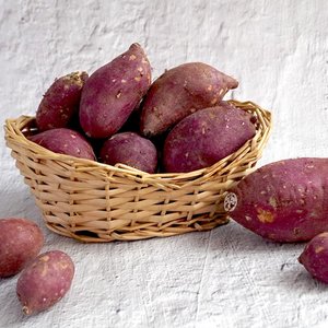 더조은푸드 [박대성님 생산] [더조은] 호풍미 호박고구마 5kg 한입 (50g내외)