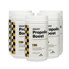 모에버 프로폴리스 Boost 300Cap 5개