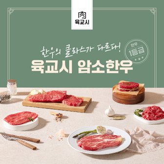 육교시 암소한우 1등급 전품목 할인 행사 (특가 등심,국거리,불고기 최대 45%)