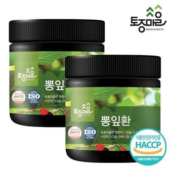  [토종마을]HACCP인증 국산 뽕잎환 300g X 2개