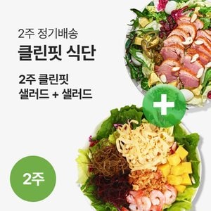 포켓샐러드 샐러드 2주 클린핏 식단/ 하루 두 끼를 샐러드로 클린하게 (총 24팩)