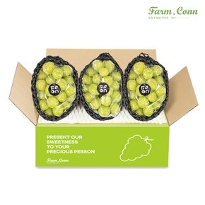 [팜컨]고당도 샤인머스캣 3-4수/2kg