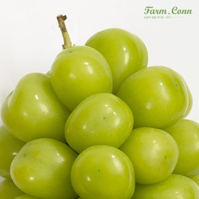 [팜컨]고당도 샤인머스캣 3-4수/2kg