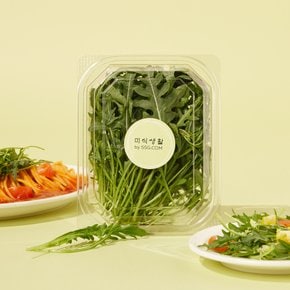 친환경 와일드루꼴라 50g(팩)