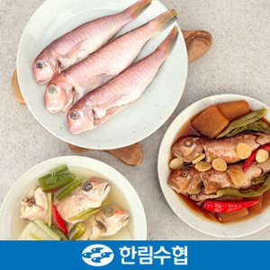 한림수협 [제주 한림수협] 제주 통 옥돔 9미 1.05kg(350g*3팩) / 냉동