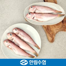 [제주 한림수협] 제주 통 옥돔 9미 1.05kg(350g*3팩) / 냉동