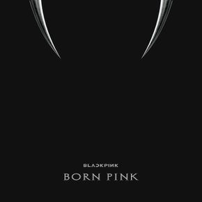 블랙핑크 본 핑크 앨범 정규2집 BORN PINK BOX 포토북 BLACK PINK 랜덤