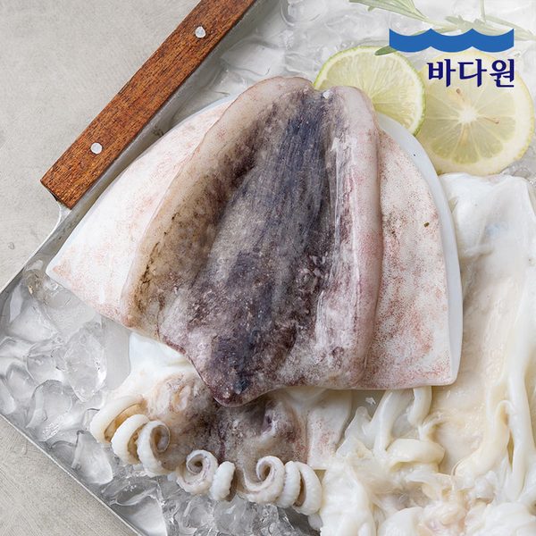 확대된 대표 이미지 P