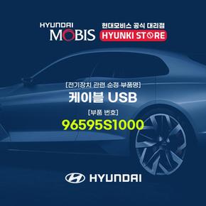 케이블 USB (96595S1000)