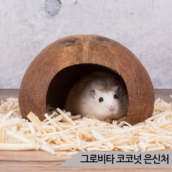 이미지1