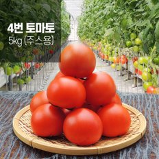  착한 토마토 4번(쥬스용) 5kg
