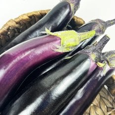  국내산 햇가지 생가지 제철가지 가지 가지볶음 1kg