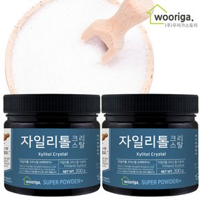 핀란드산 자일리톨 가루 크리스탈 300g 2통