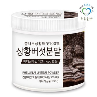 푸른들판 100% 상황버섯 분말 100g 1통 베타글루칸 함유 진흙버섯 목질진흙버섯 상황버섯균사체 뽕나무상황버섯 차