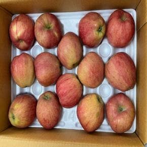 빨간사과 가정용 홍로사과 2kg 중과 9-10과 내외