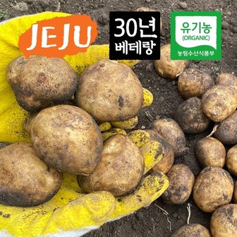  제주 유기농 알감자 3kg