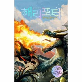 해리 포터와 불의 잔 1 (해리포터 20주년)