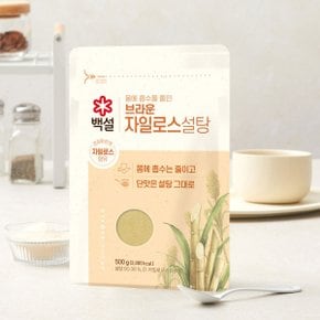 백설 브라운 자일로스 설탕 500g x2개