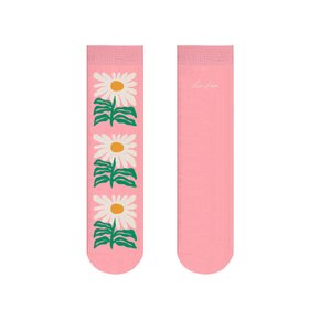 양말 Calendula, 리브 리