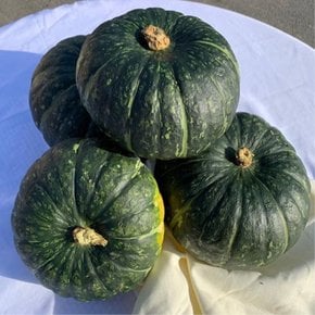 포미식탁 뉴질랜드 단호박 3kg (4-6과 내외)