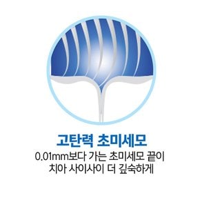 초미세모 블랙티 칫솔 8입