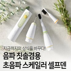 셀프덴플러스 초음파칫솔 국내제작 전동 교체 헤드 치석 관리 치아세정기