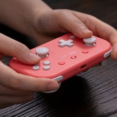 8BitDo Lite2 컨트롤러 블루투스 무선 게임패드